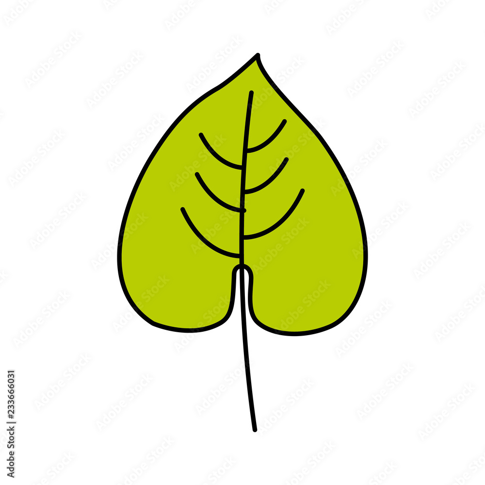leaf tropical on white background leaf tropical on white background