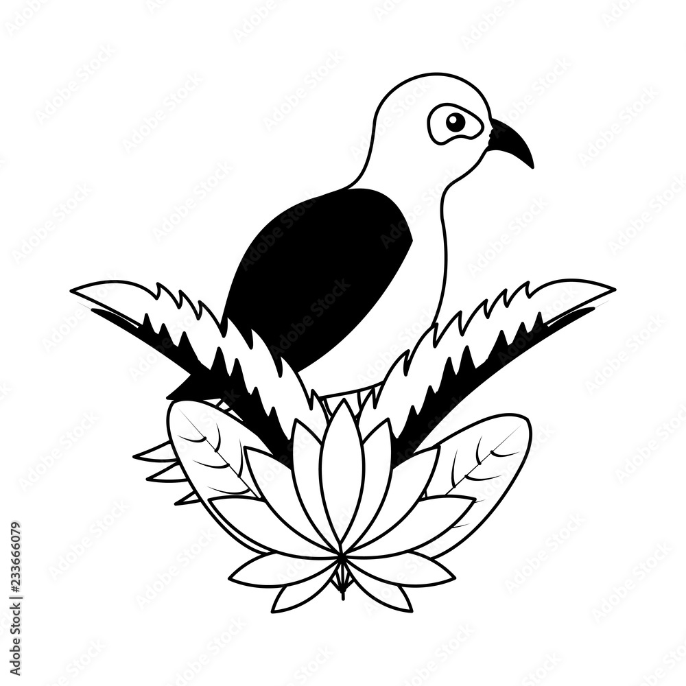 bird leaves tropical on white background