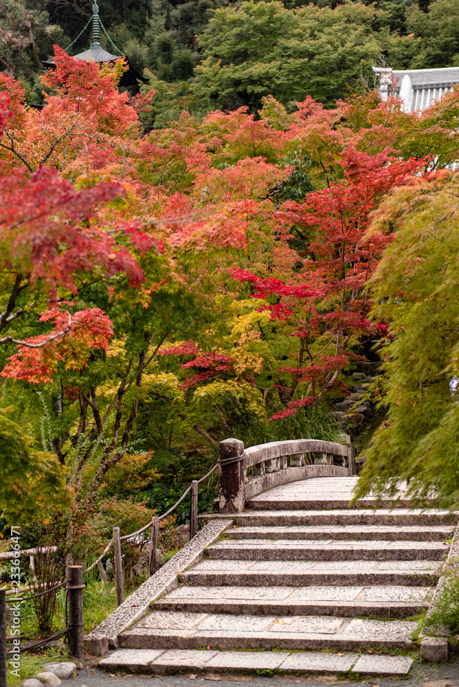 京都永観堂の紅葉