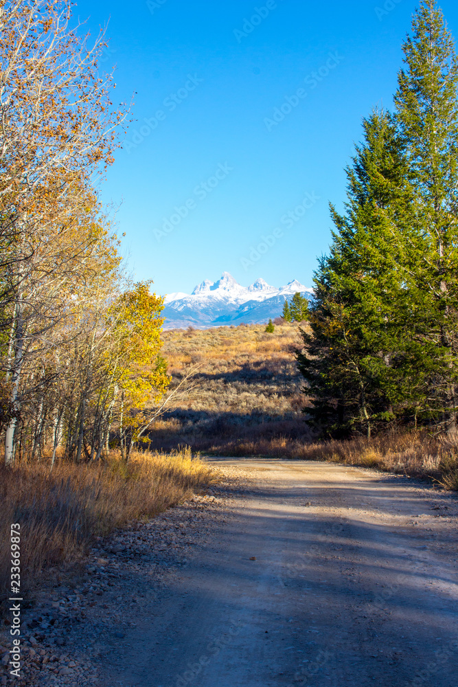 Fototapeta premium road in autumn forest