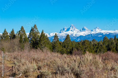 Mountain feild