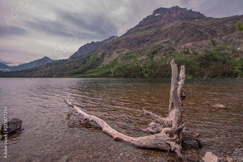 Driftwood on a Beach in Glacier National Park in Northern Montana