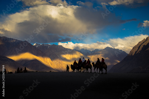 Riding a camel in the desert at Leh, Ladakh, Jammu and Kashmir, India © 12November