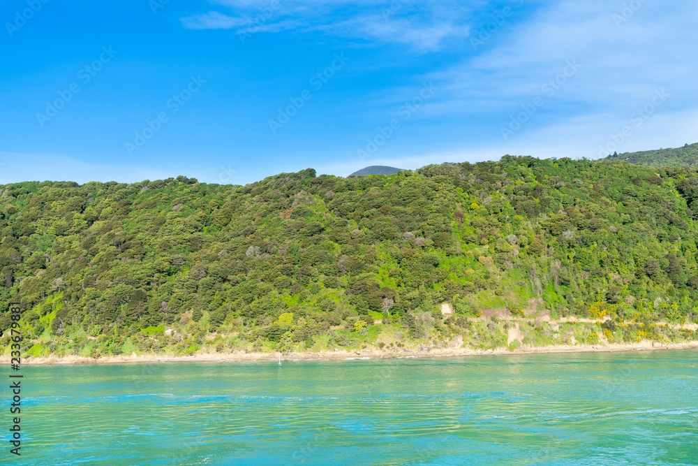 South Island coastline from ferry crossing