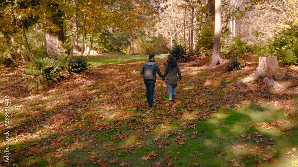 A happy young couple in love walking through a beautiful autumn forest holding hands. A happy young couple in love walking through a beautiful autumn forest holding hands.