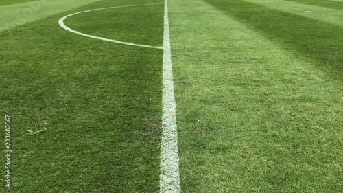 Soccer field grass, Football field grass