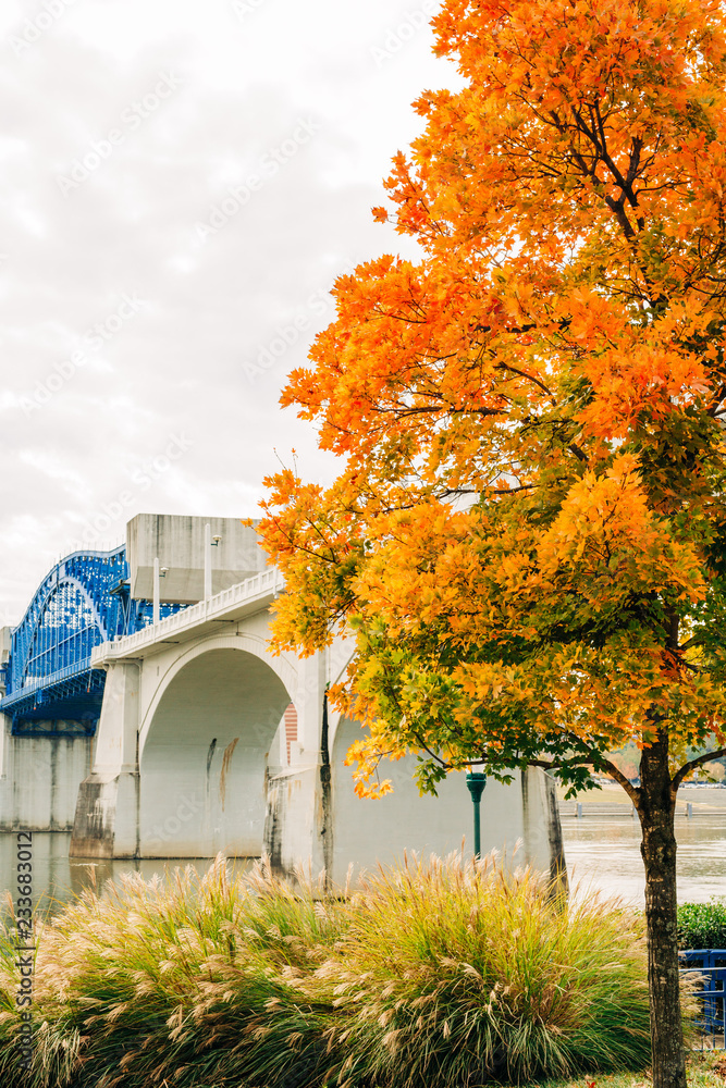 Obraz premium Chattanooga Tennessee Downtown Bridges