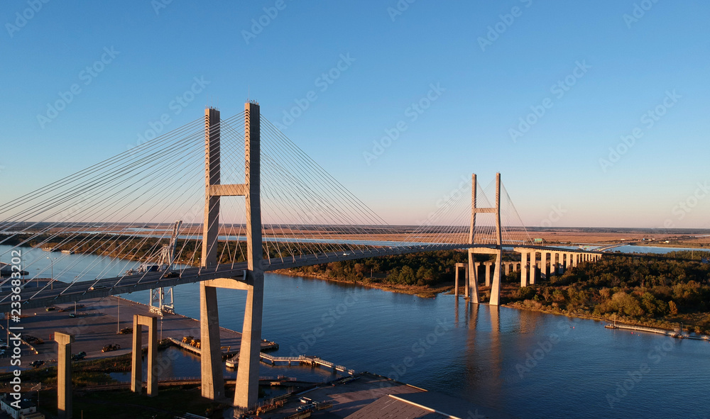 Fototapeta premium Talmadge Memorial Bridge Savannah