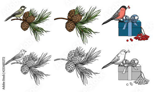Bird, branch of cedar with cedar cone, gift, rowan berries. Bullfinch. Titmouse. Christmas vector illustration.