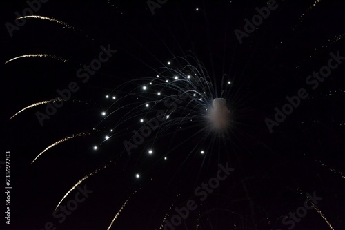 Bright salute in the sky