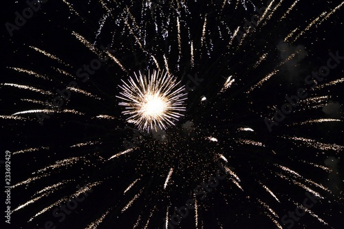 Bright salute in the sky
