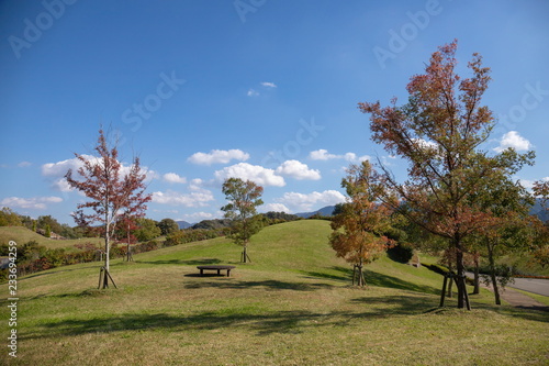 Landscape of calm lawn hill and trees ,Shikoku,Japan