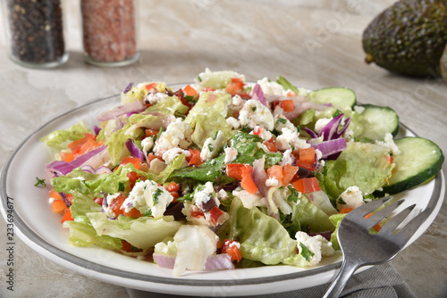 Fresh gourmet Greek salad