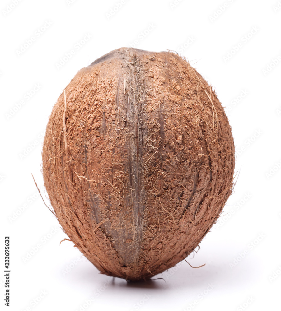 big coconut isolated on a white background big coconut isolated on a white background