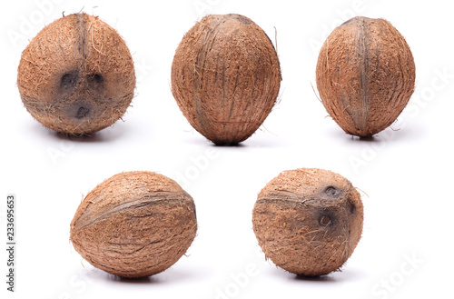 set of big coconuts isolated on white background