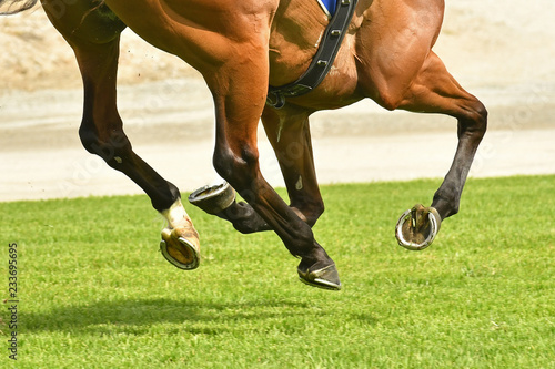 Horse racing action