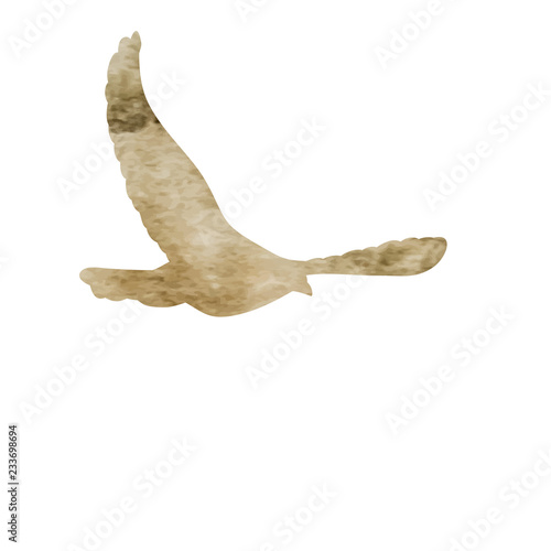 vector, isolated, watercolor silhouette of a flying dove