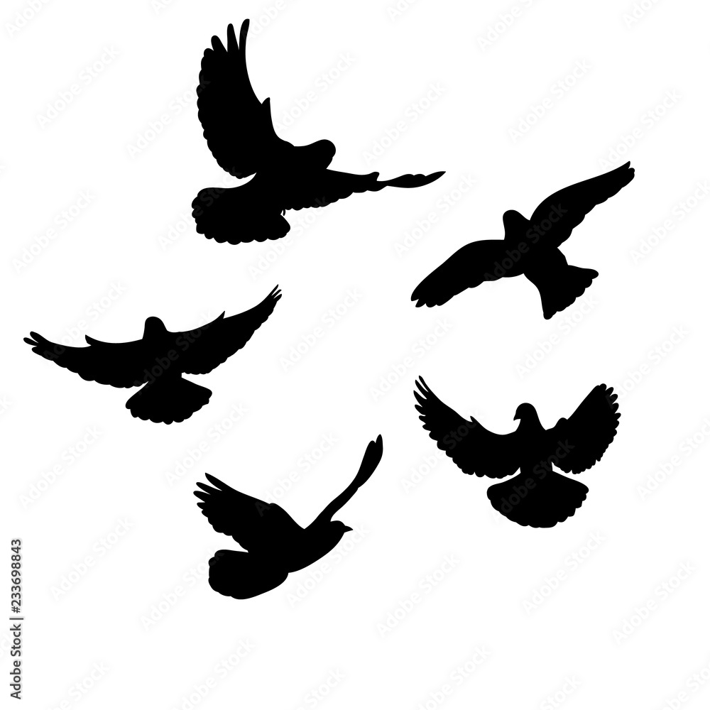 Obraz premium flock of birds flying, black silhouette