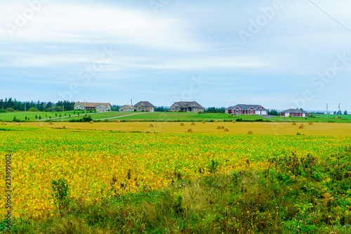 Countryside and haystacks near Indian River, PEI