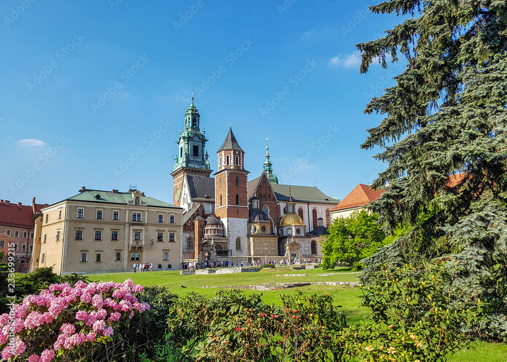 Wawel Cathedral: mixture of architecture styles in one church with pink flowers in a frontline and blue sunny sky in background, Krakow, Poland