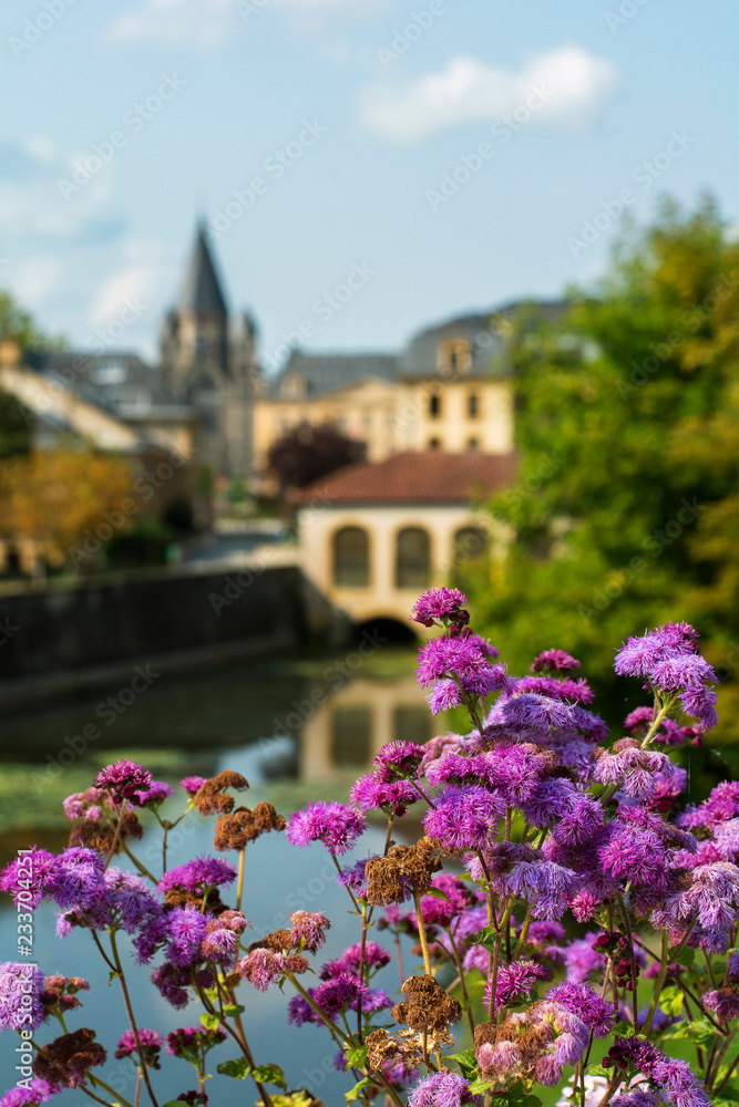 Beautiful pink flowers near the historical center of Metz in France in the summer day