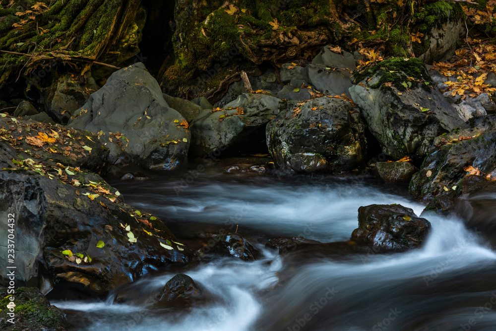 Leaves, boulders, and cascades, Hama Hama River, Olympic National Forest, Washington