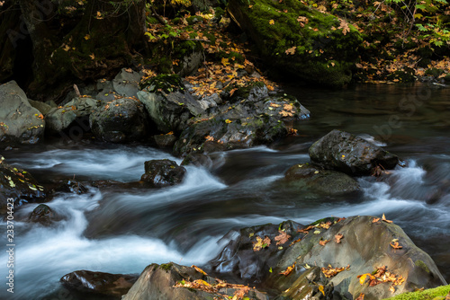 Leaves, boulders, and cascades, Hama Hama River, Olympic National Forest, Washington