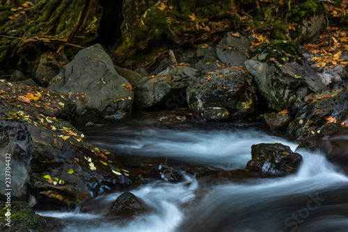 Leaves  boulders  and cascades  Hama Hama River  Olympic National Forest  Washington