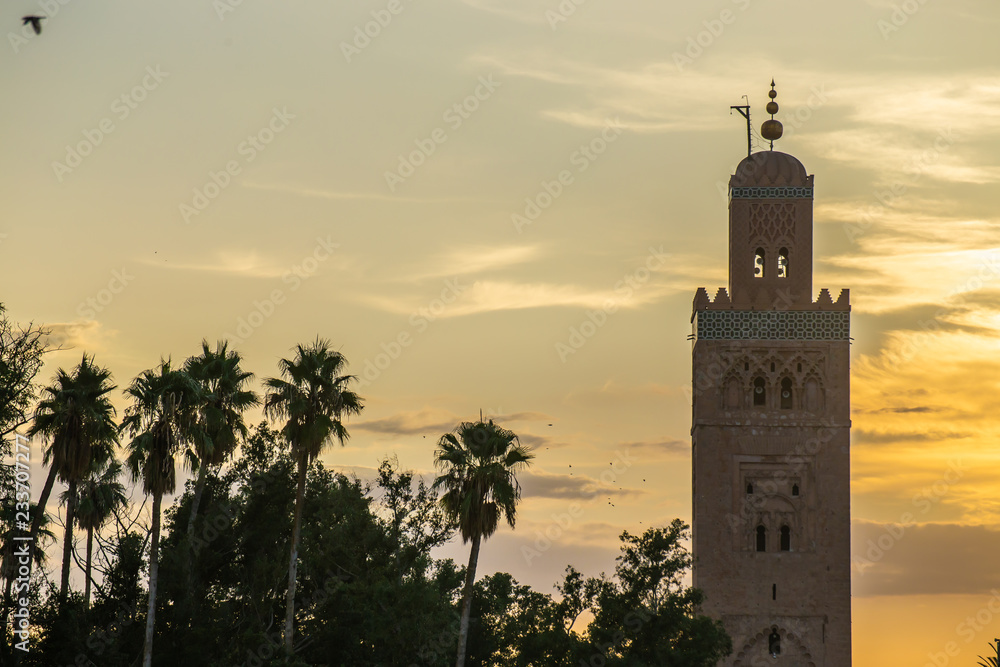 Fototapeta premium Sunset, palms with Koutoubia Mosque minaret (Djemma el Fna tower) in old medina of Marrakech, Morocco. Touristic place in Marrakesh used by local people as square or market place. 