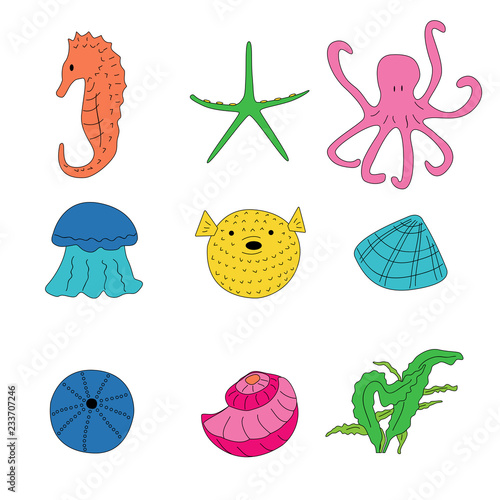 marine inhabitants