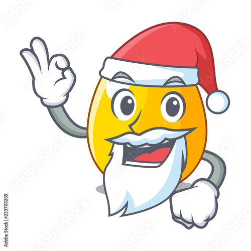 Santa golden egg with cartoon shape reflection photo