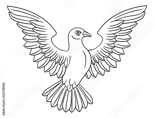 A white dove, a symbol of peace, faith or hope
