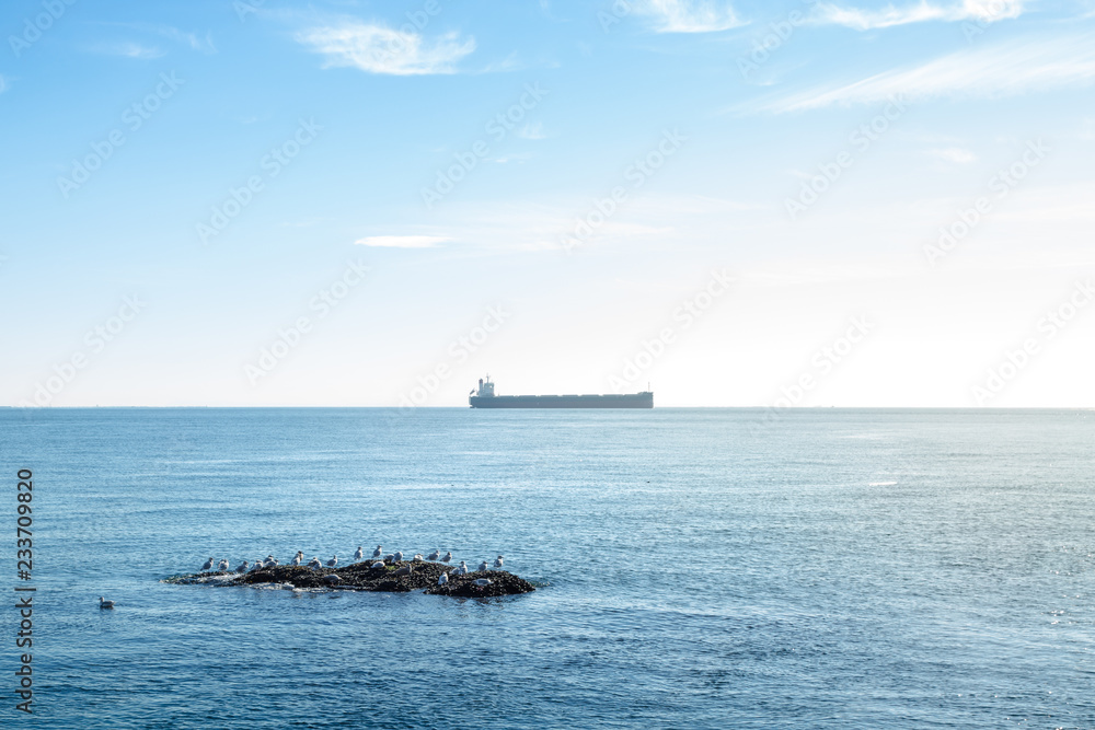 A view out onto the open ocean of the Georgia Strait of a gull rock and a tanker.