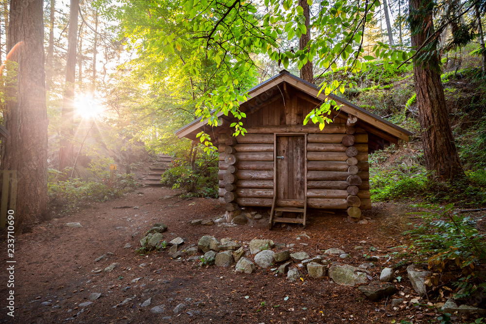 Log cabin in a forest in the summer in Lighthouse Park. Log cabin in a forest in the summer in Lighthouse Park.