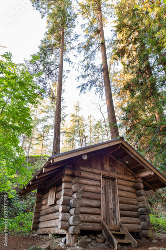 Log cabin in a forest in the summer in Lighthouse Park. © Adam