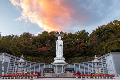 Photography Bongeunsa temple seoul.