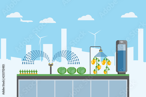 Urban farming. Growing organic food on the roof of a building in the city