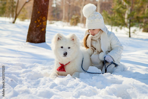 winter walk with a Samoyed dog in a snow-covered park. A girl plays with her pet. White dog