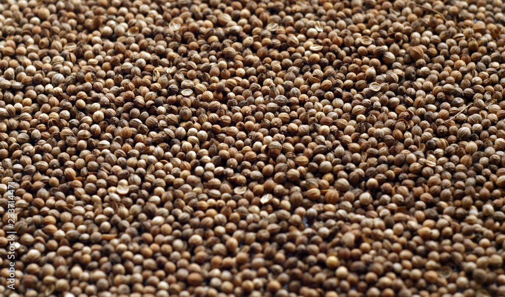 Mustard seeds surface. Mustard seeds surface.