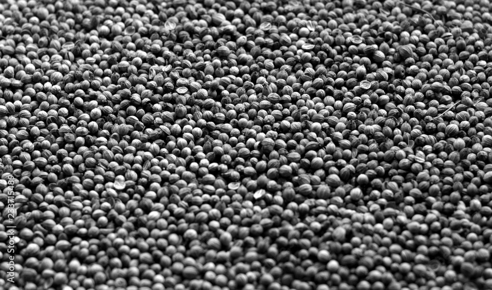Mustard seeds surface in black and white. Mustard seeds surface in black and white.