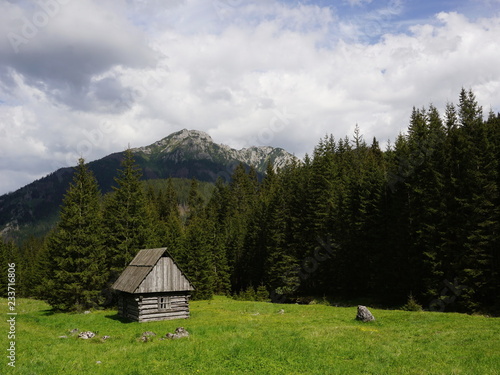 Traditional wooden shepherds hut in Chocholowska Valley, Tatra Mountains, Poland