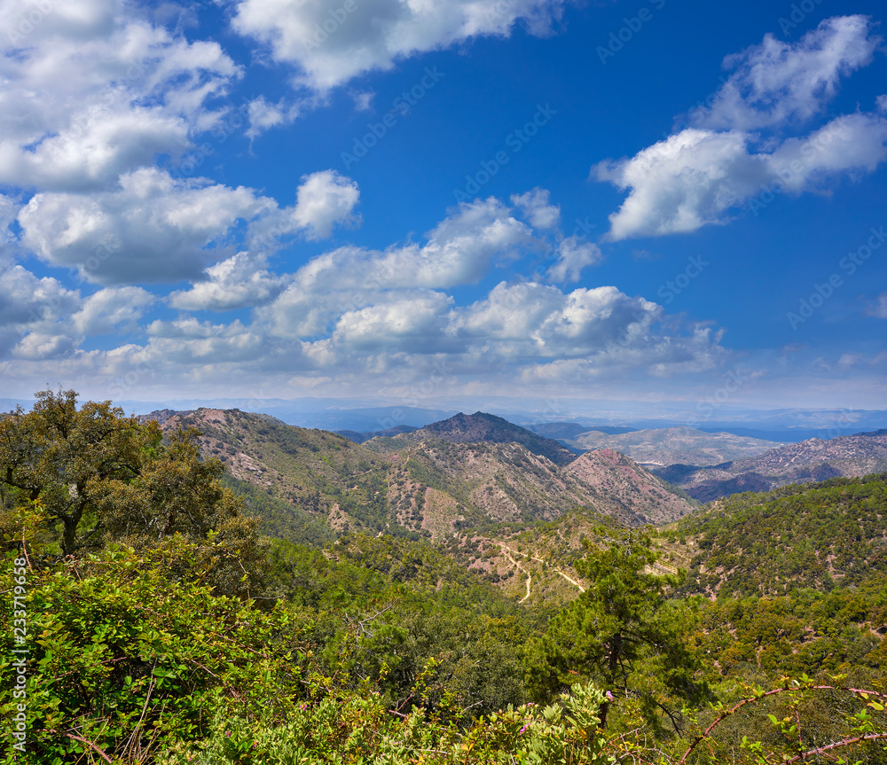 Espadan forest in Castellon Spain Espadan forest in Castellon Spain