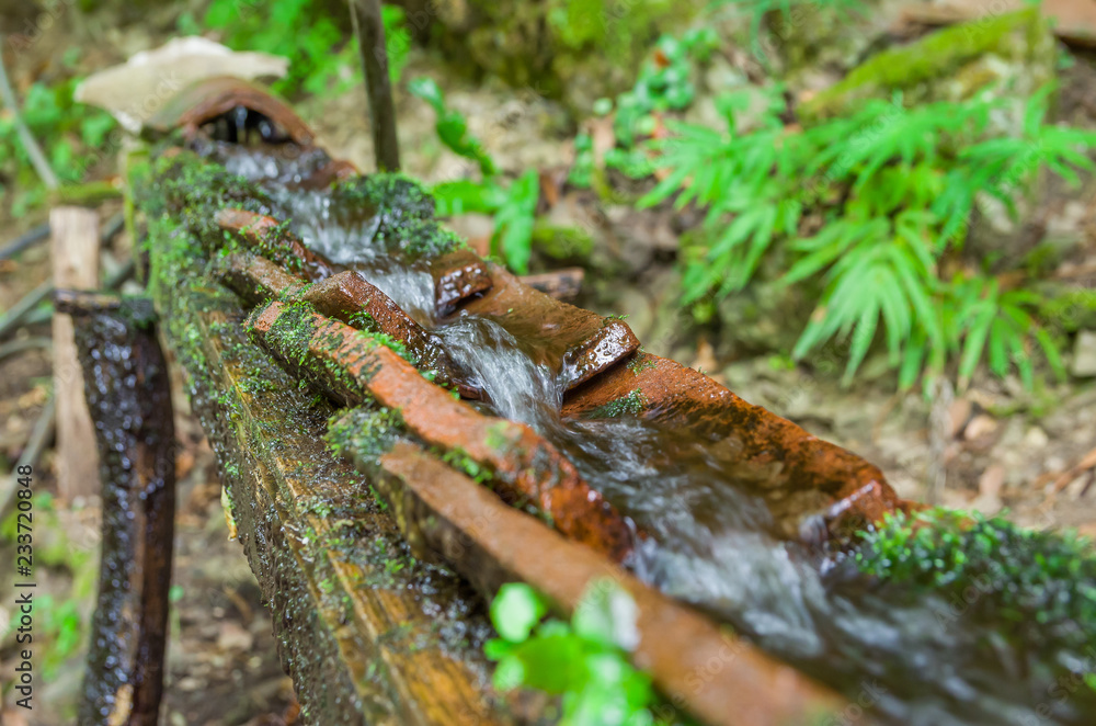 An old tree trunk is used as a through and is being filled by a flow pipe made from a second trunk. An old tree trunk is used as a through and is being filled by a flow pipe made from a second trunk.