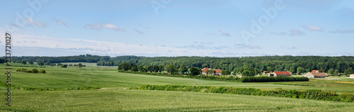 Danish Countryside in the Summer