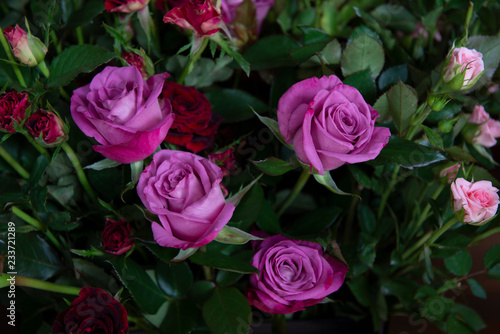 Wallpaper Mural Bouquet of fresh roses. Torontodigital.ca