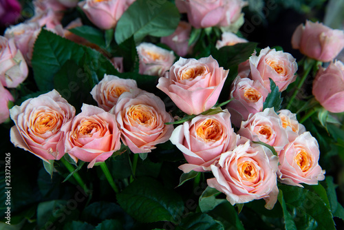 Bouquet of fresh roses.