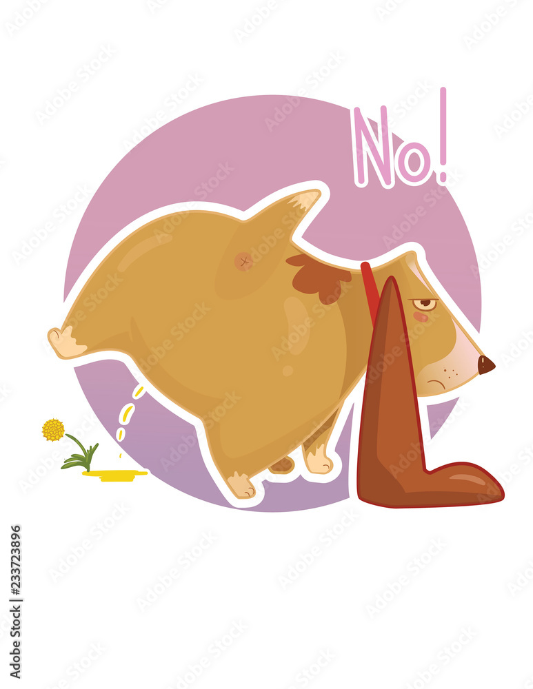 Outraged long ear basset hound dog make a pee to the dandelion flower. Postcard, sticker. Outraged long ear basset hound dog make a pee to the dandelion flower. Postcard, sticker.