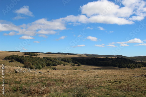 Paysage d'Aubrac