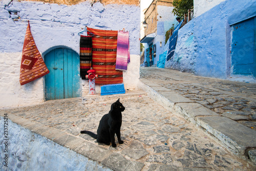 Black cat on the street in Chefchaouen city in Morocco © Marko Rupena