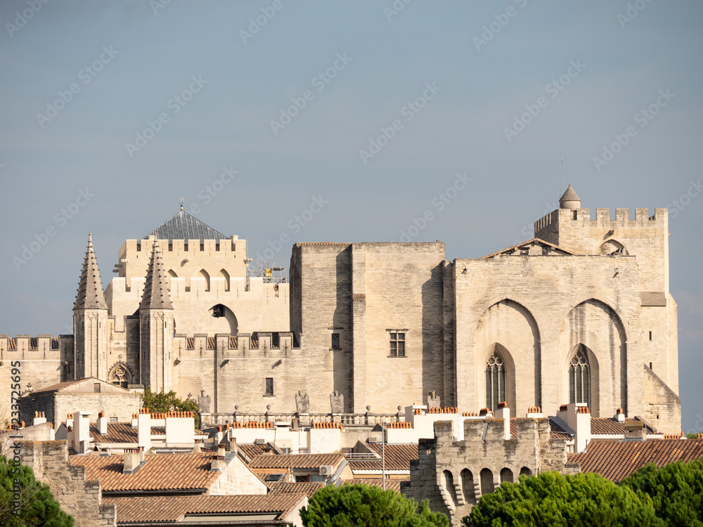 Papal palace in the city of Avignon, France.